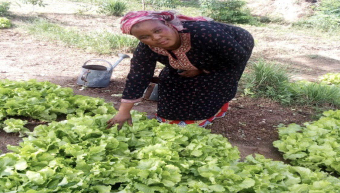 Awa Fané est une femme battante et jardinière à l’ACI 2000 à Bamako. Nous l’avons rencontrée dans son jardin où elle était en pleine activité. De nos jours, des femmes sont beaucoup actives et n’envient aucun homme sur le plan financier. Awa est une. Elle a répondu à nos questions :