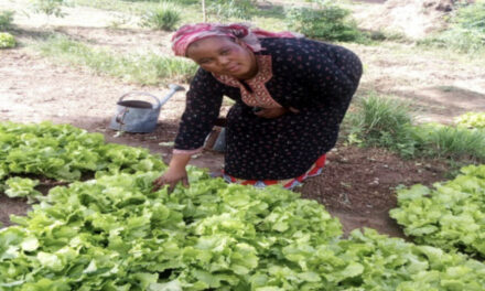 Awa Fané est une femme battante et jardinière à l’ACI 2000 à Bamako. Nous l’avons rencontrée dans son jardin où elle était en pleine activité. De nos jours, des femmes sont beaucoup actives et n’envient aucun homme sur le plan financier. Awa est une. Elle a répondu à nos questions :