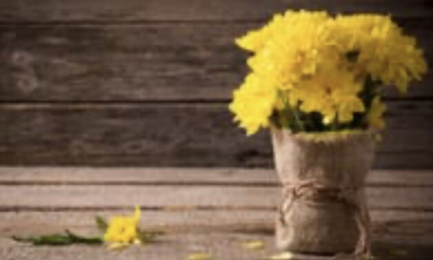 Amour : le langage des fleurs